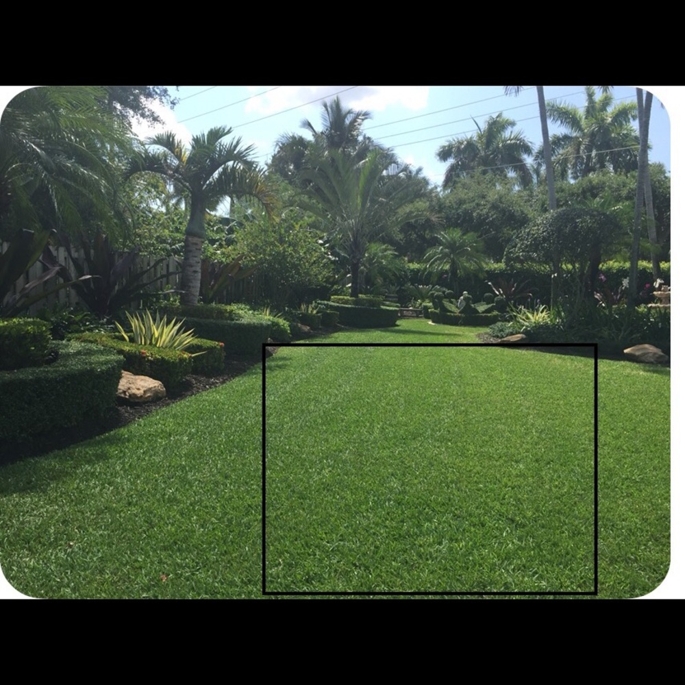 Meet your Posher, Lo